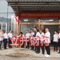 公司党支部成立暨揭牌仪式