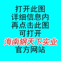 海南钢天下实业有限公司