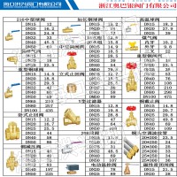 浙江奥巴银阀门