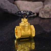 中阀阀门