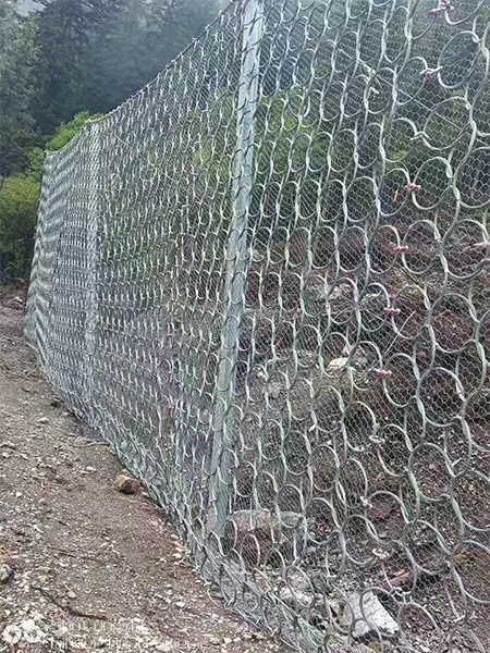 边坡防护网 (5)